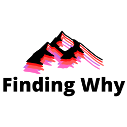 Finding Why